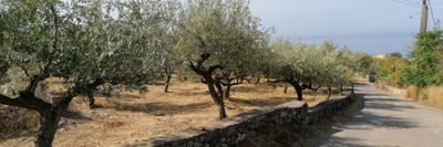 1 - Kardamyli, Plot