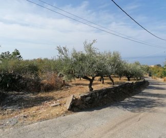 img202109211053042025-02-08-112022hvpk