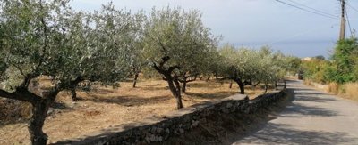 img202109211047062025-02-08-111725gzcc