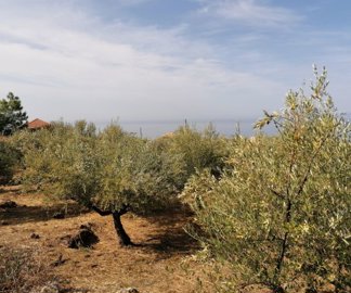 img202109211048082025-02-08-111827tdwg