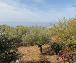 img202109211048362025-02-08-111853dlui