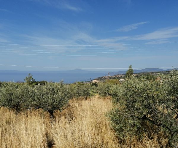 Image No.8-Terrain à vendre à Kardamyli