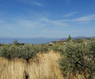 img202109211050562025-02-08-111939bare