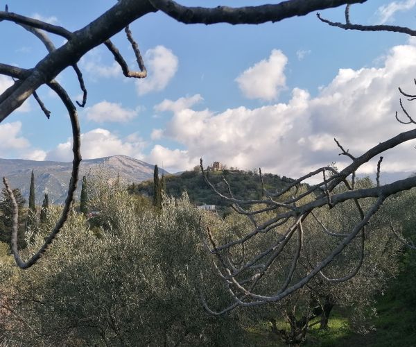 Image No.5-Terrain à vendre à Malta