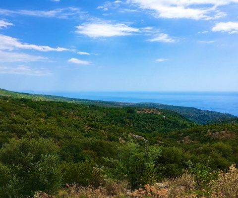 Image No.8-Maison de 2 chambres à vendre à Kardamyli