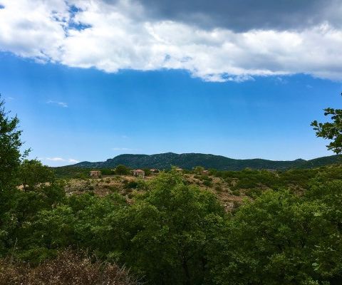 Image No.9-Maison de 2 chambres à vendre à Kardamyli