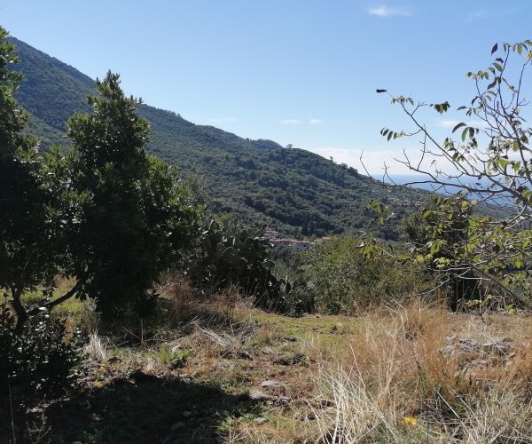 Image No.23-Maison de 3 chambres à vendre à Kardamyli