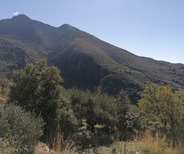 Image No.24-Maison de 3 chambres à vendre à Kardamyli