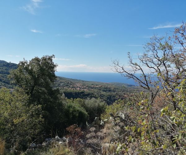 Image No.25-Maison de 3 chambres à vendre à Kardamyli
