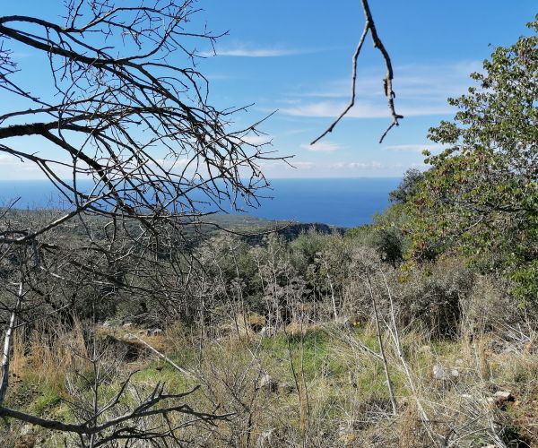 Image No.26-Maison de 3 chambres à vendre à Kardamyli