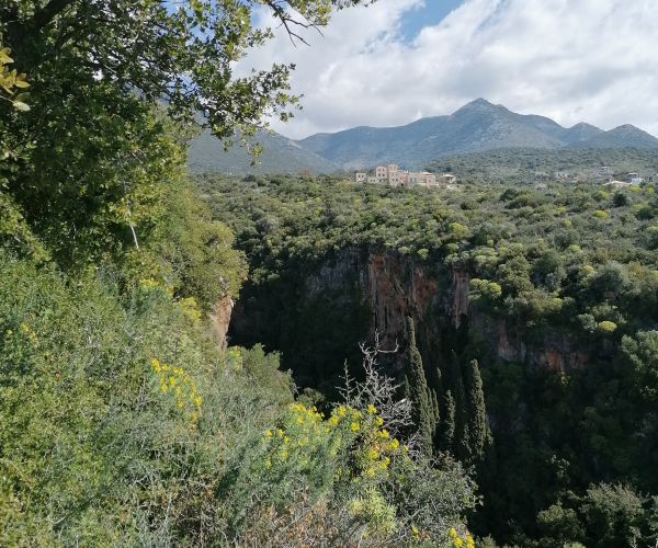 Image No.4-Maison de 2 chambres à vendre à Kardamyli