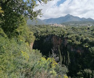 img202203031142112025-02-08-104252ntgy