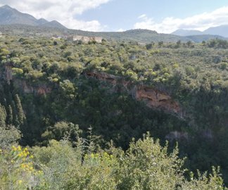 img202203031142162025-02-08-104310ujsz