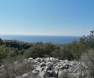 img202203031148152025-02-08-104406gazg