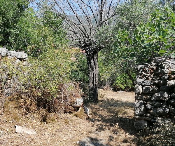 Image No.15-3 Bed House for sale