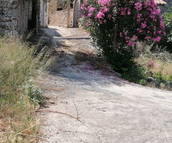 Image No.23-3 Bed House for sale