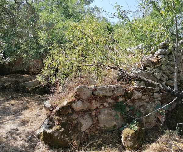 Image No.8-3 Bed House for sale