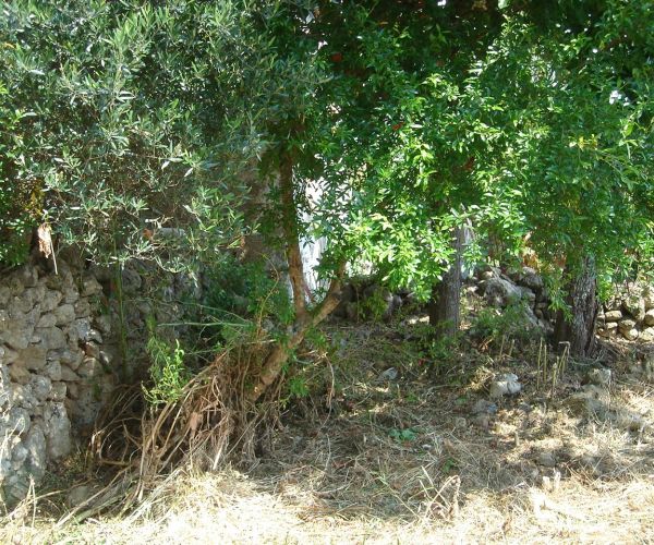 Image No.17-Maison de 3 chambres à vendre à Kardamyli