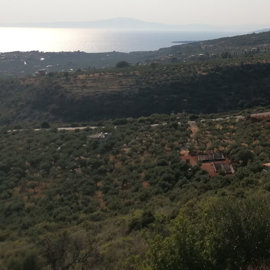 img20220722180713