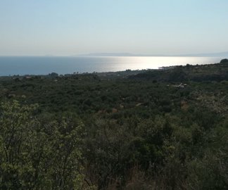 img20220722175535