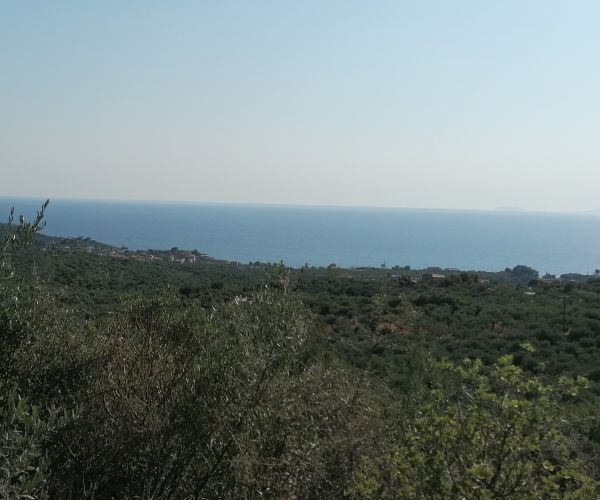 Image No.6-Parcela en venta