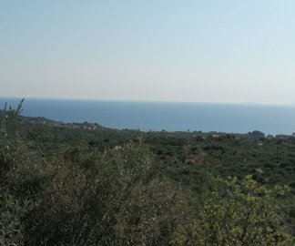 img20220722175538