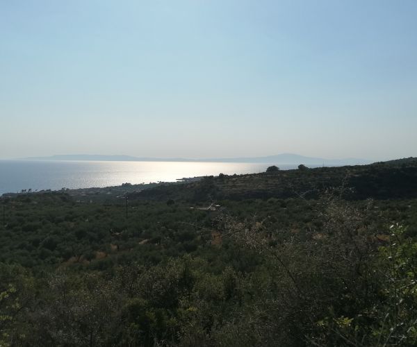 Image No.7-Parcela en venta