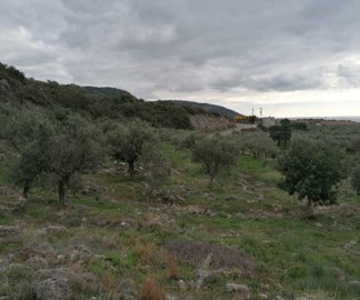 img20221221130512