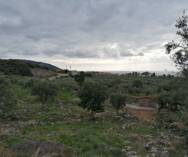 Image No.11-Parcela en venta