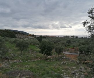 img20221221130515