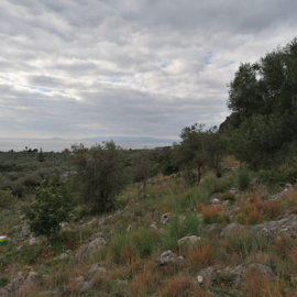 img20221221125950
