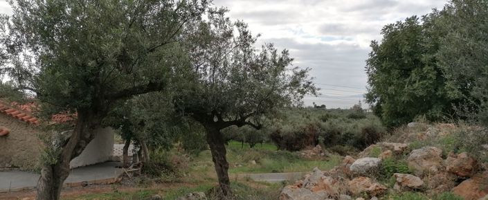 Image No.3-Parcela en venta