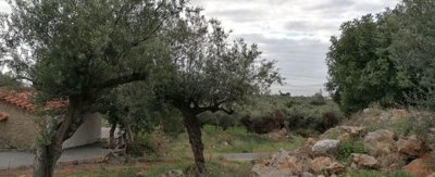 img20221221125645