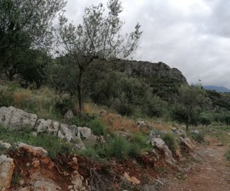 img20221221125755