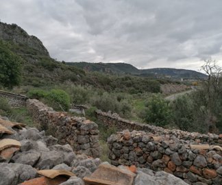 img20221221130145