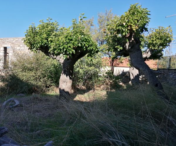 Image No.9-3 Bed House for sale