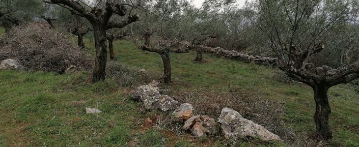 Image No.3-Terrain à vendre à Kardamyli