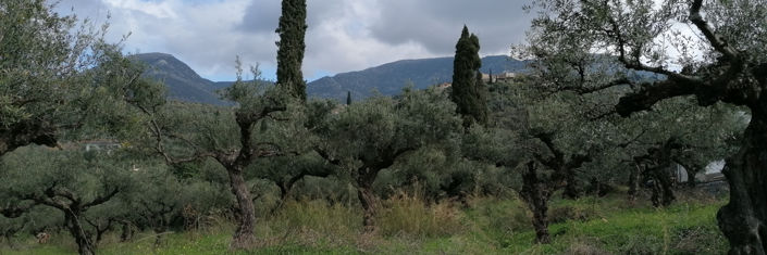 Image No.1-Plot for sale