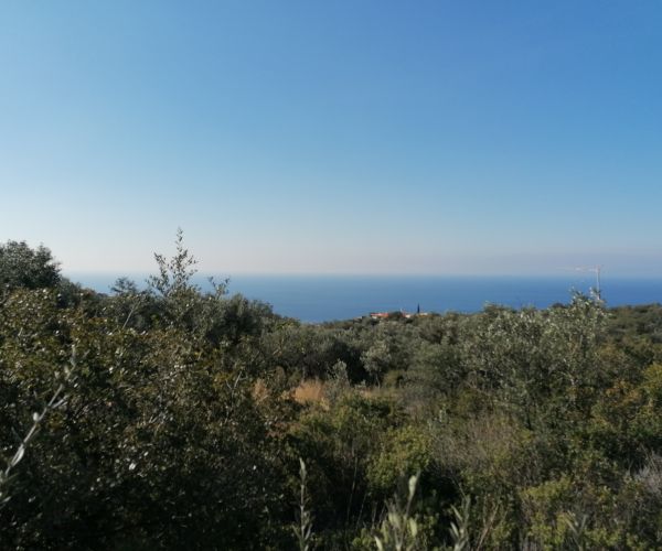 Image No.4-Plot for sale