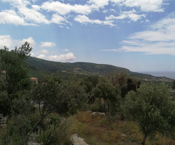 Image No.4-Plot for sale