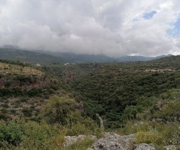 Image No.6-Plot for sale