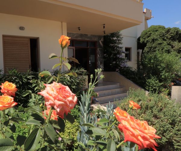 Image No.6-Maison de 21 chambres à vendre à Stoupa