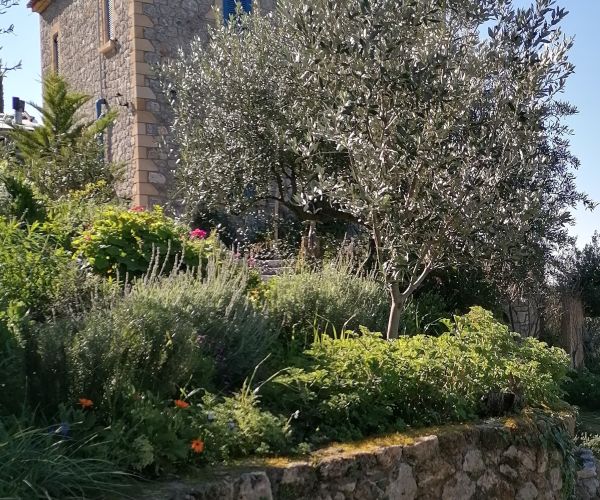 Image No.21-Maison de 4 chambres à vendre à Kardamyli