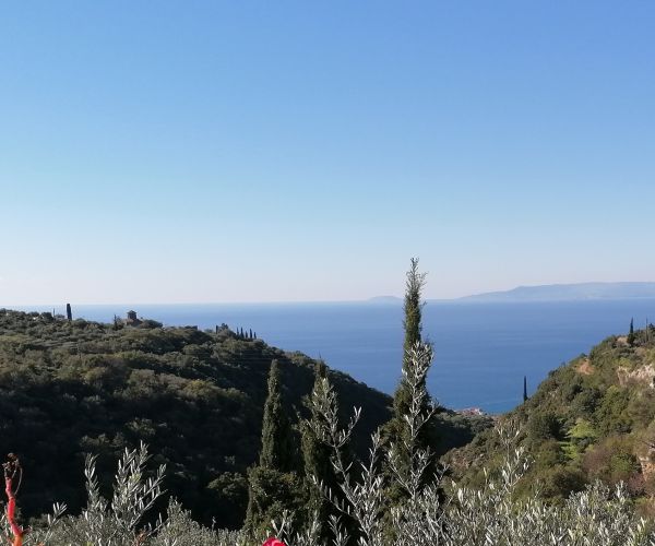 Image No.26-Maison de 4 chambres à vendre à Kardamyli