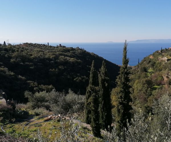 Image No.27-Maison de 4 chambres à vendre à Kardamyli