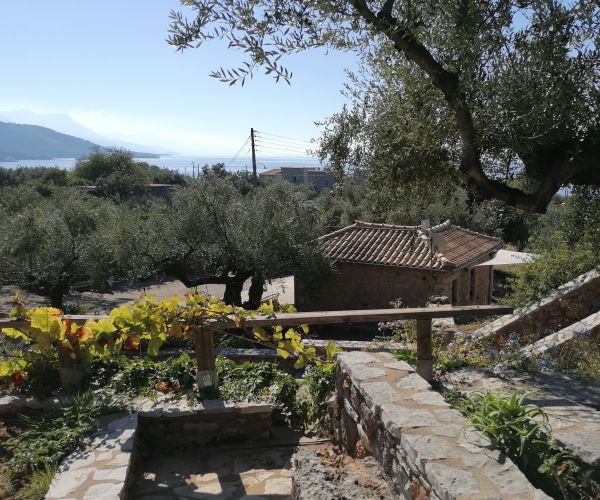 Image No.16-Maison de 6 chambres à vendre à Kardamyli