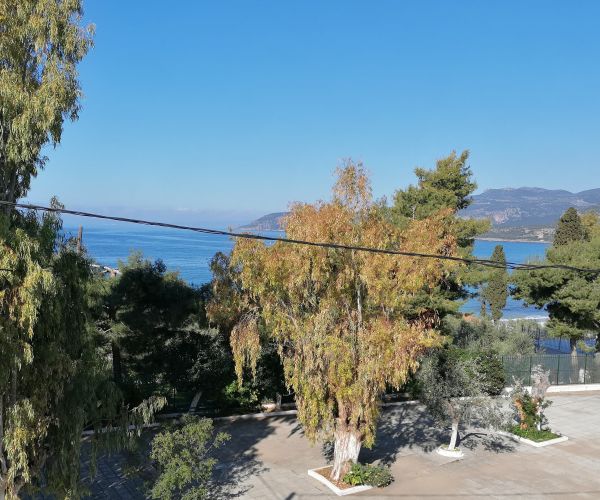 Image No.11-8 Bed House for sale