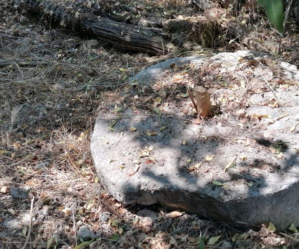 Image No.14-Maison de 3 chambres à vendre à Kardamyli