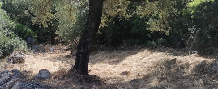 Image No.3-Maison de 3 chambres à vendre à Kardamyli