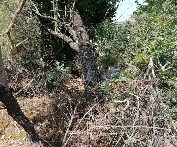 Image No.32-Maison de 3 chambres à vendre à Kardamyli